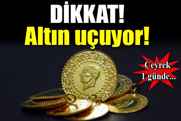 altin.webp