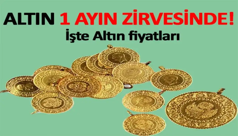 altin_1_ayda_zirvede_h43167.webp
