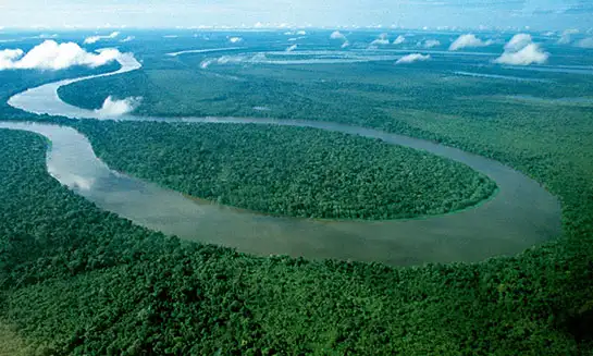 amazon-ormanlari.webp