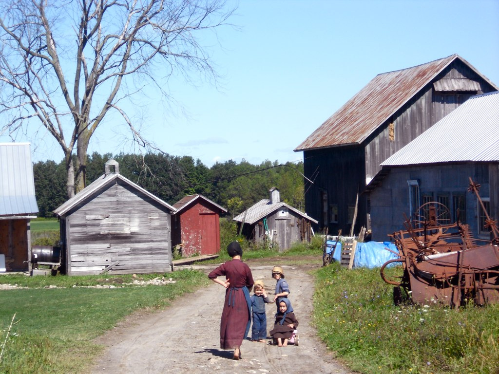 Amish_farm_morristown_new_york.jpg