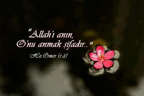 an.webp