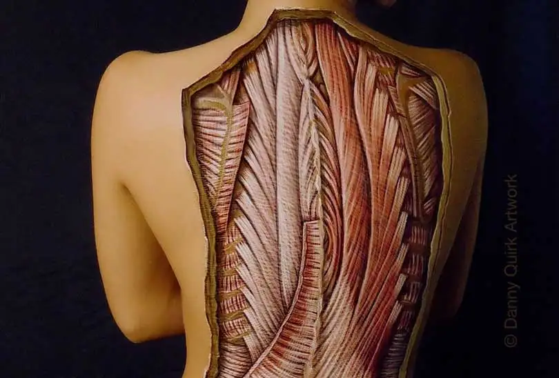 anatomik-boyama-03.webp