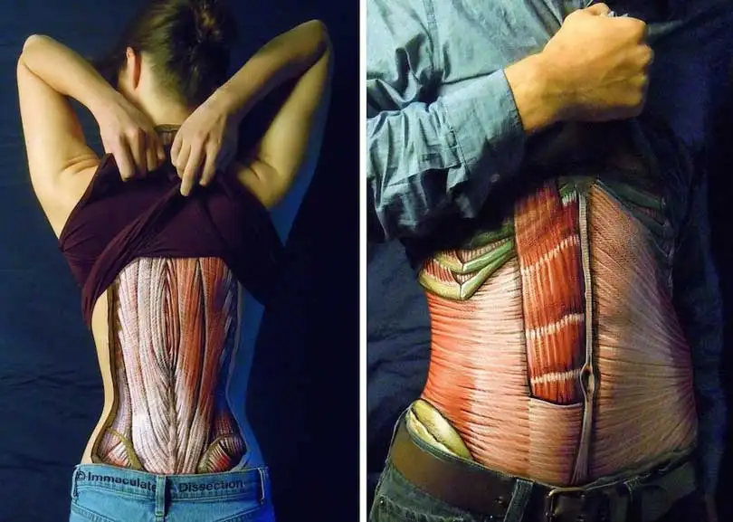 anatomik-boyama-04.webp