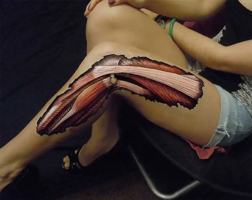 anatomik-boyama-09.webp