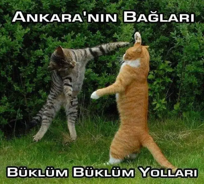 ankara-malatya.webp