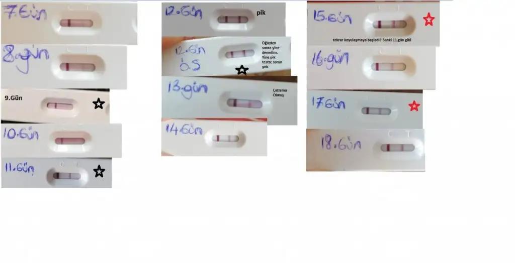 Anlam veremiyorum 2.webp