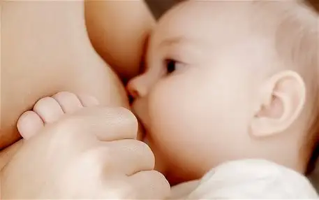 anne-sutu-kanser-hucrelerini-olduruyor.webp