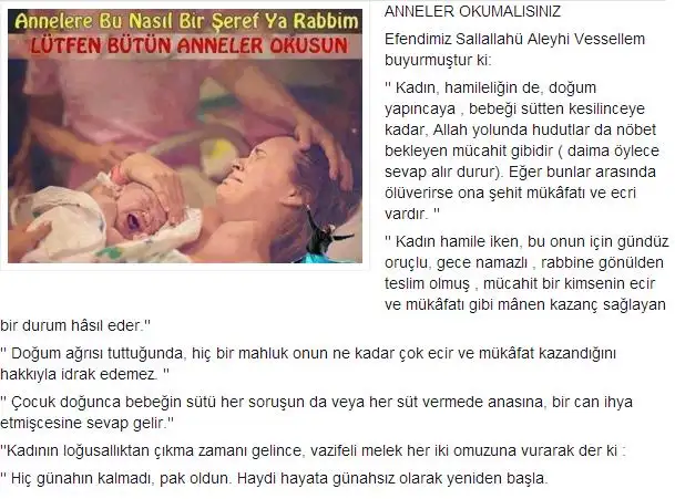annelik.webp