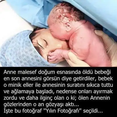annem.webp