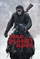 apes.webp