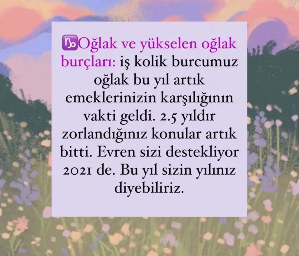 aq (10).webp