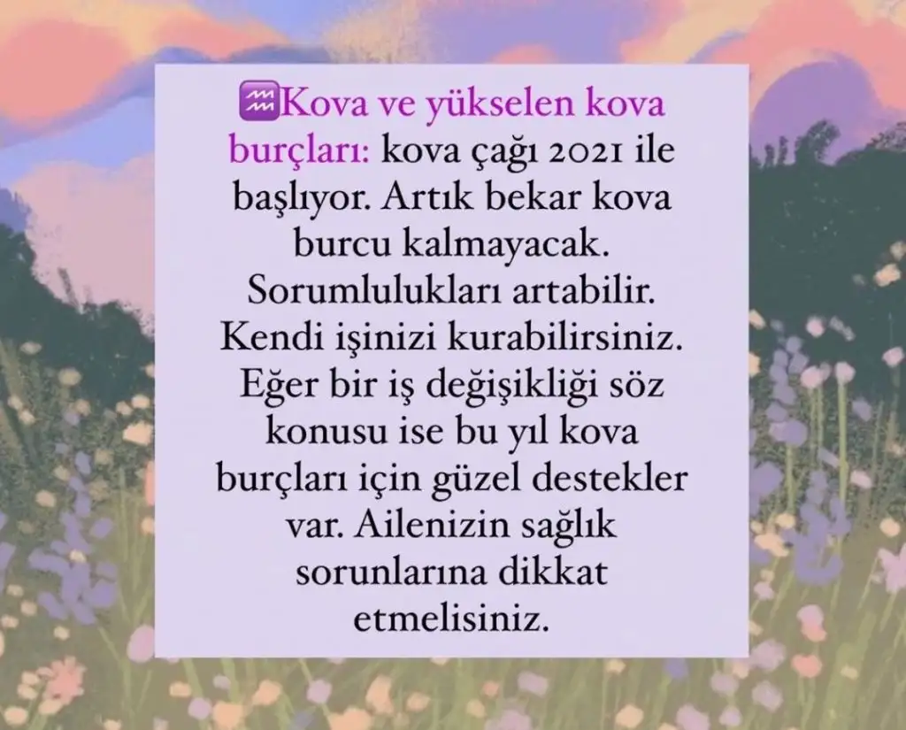 aq (11).webp