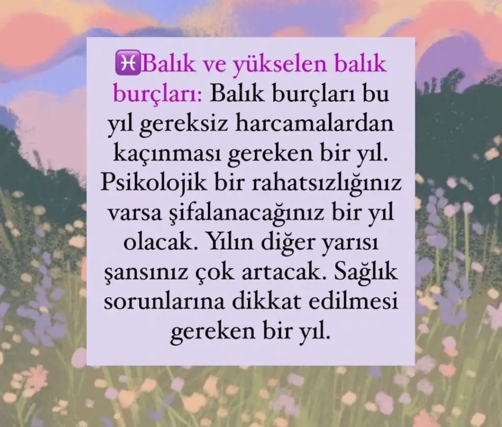 aq (12).webp