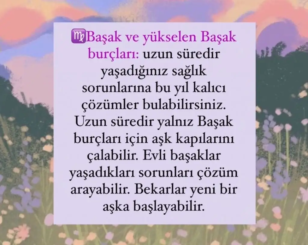 aq (6).webp