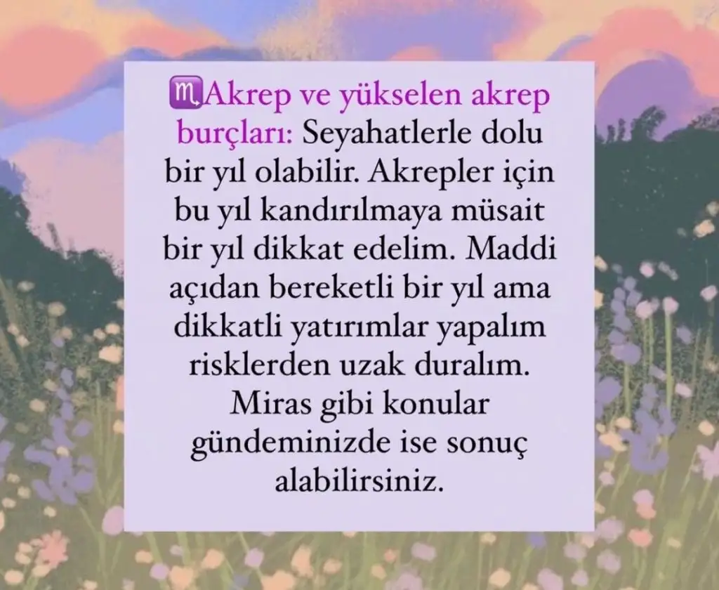 aq (8).webp