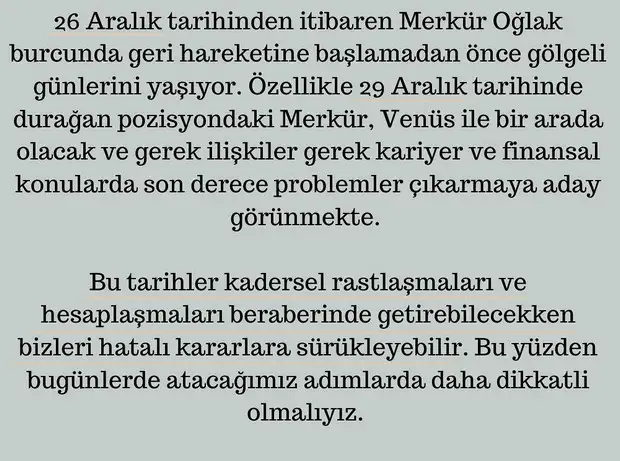 ar1 (7).webp