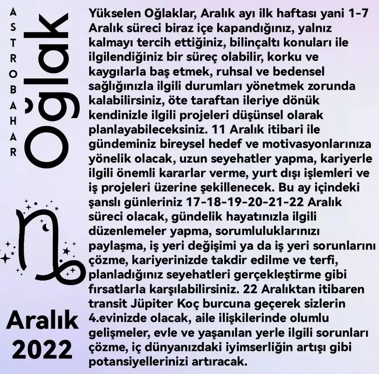 ar2 (10).webp