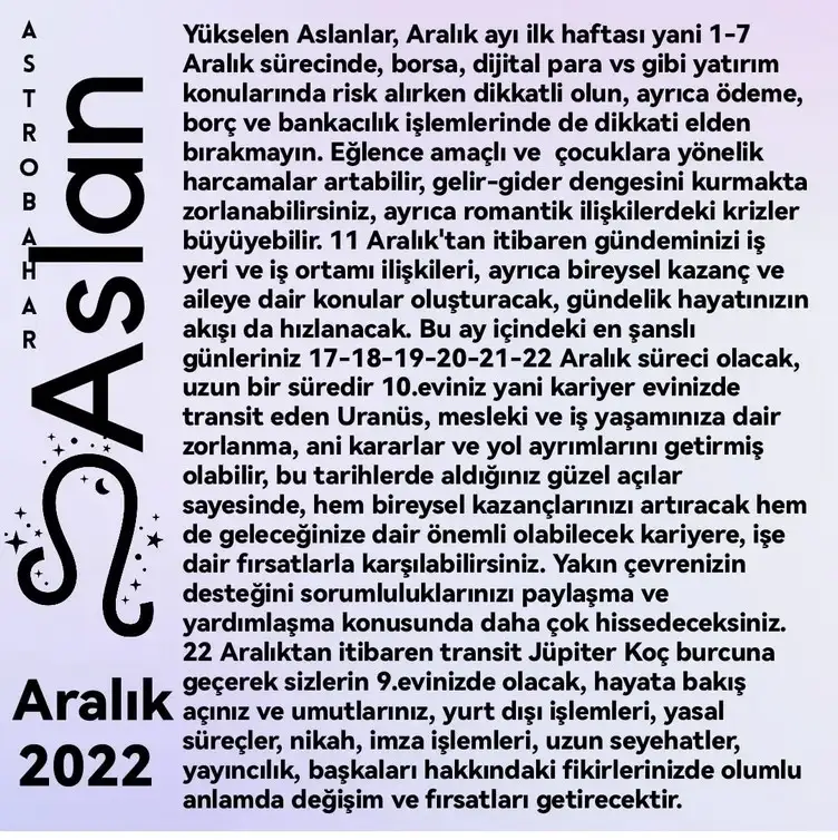 ar2 (5).webp