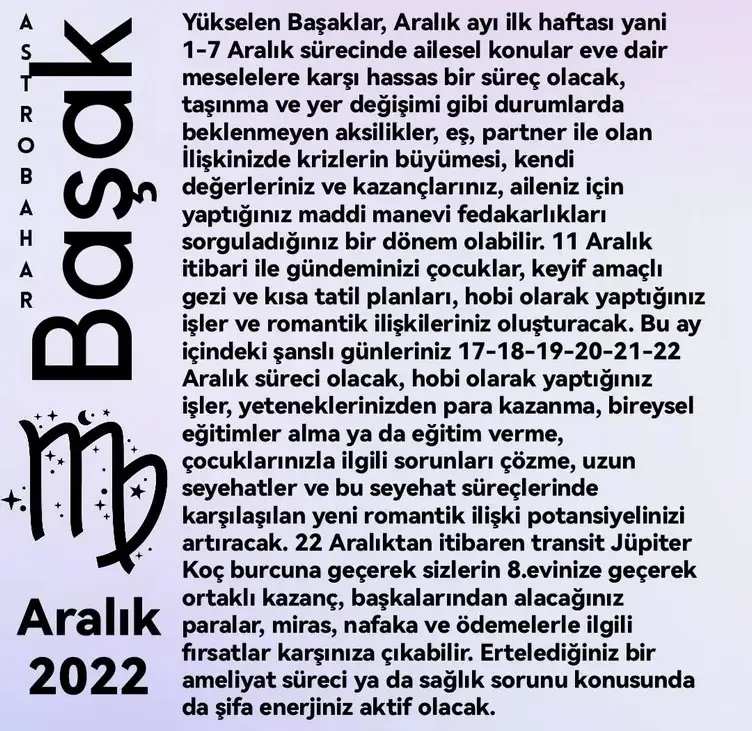 ar2 (6).webp