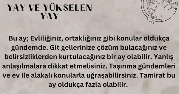 ara1 (10).webp