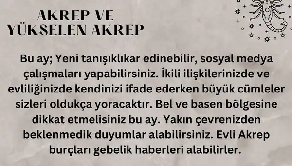 ara1 (9).webp