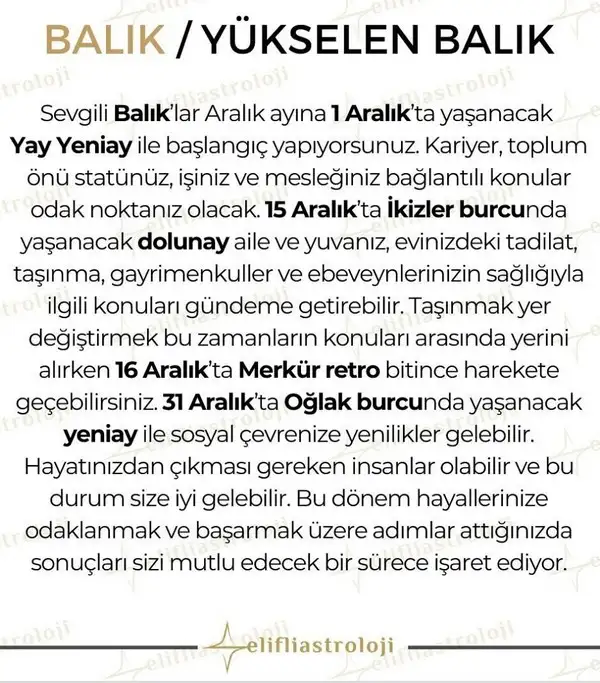 ara2 (12).webp