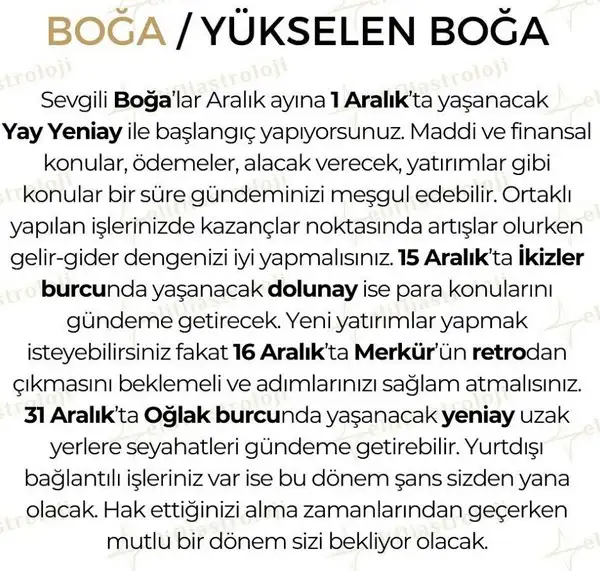 ara2 (2).webp