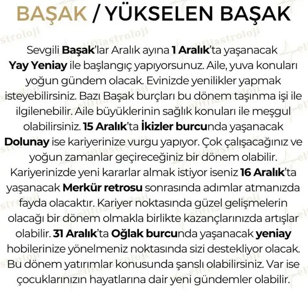 ara2 (6).webp