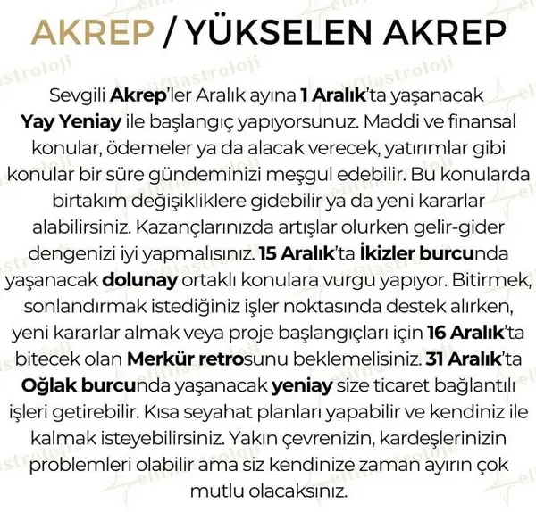 ara2 (8).webp