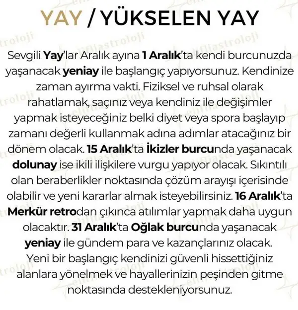 ara2 (9).webp
