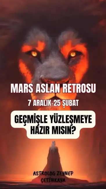 ARALIK (3).webp