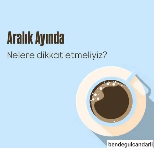 aralık ay (1).webp