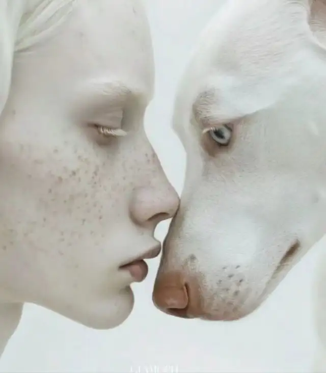 aralık ayı byz (4).webp