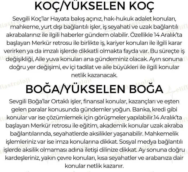 aralık aylık (2).webp