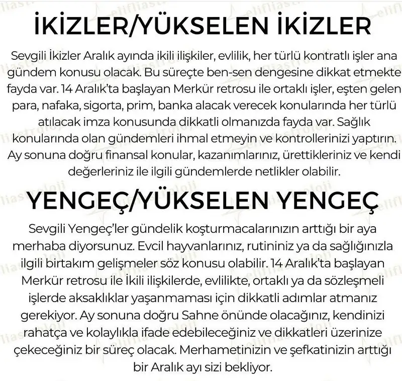 aralık aylık (3).webp