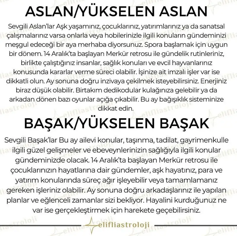 aralık aylık (4).webp