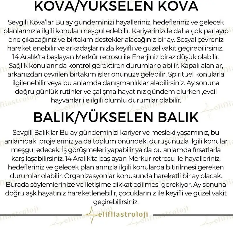 aralık aylık (7).webp