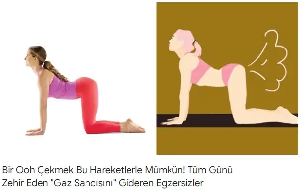 aralık.webp