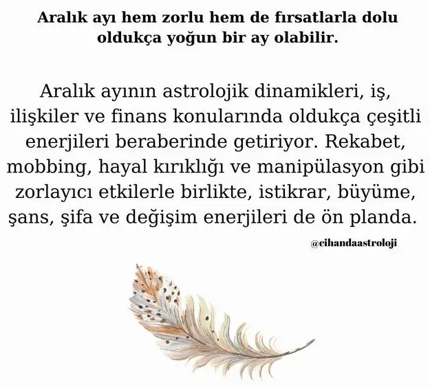 aralık8 (1).webp