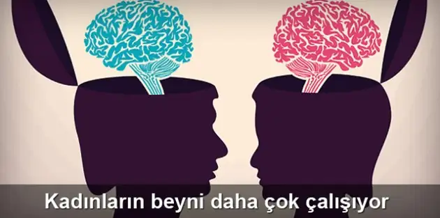 arastirmalar_soyluyor_kadinlarin_beyni_erkeklerden_daha_iyi_calisiyor_h38257.webp