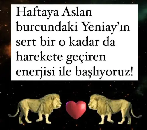as (1).webp