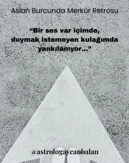 as ayc (1).webp