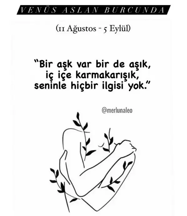 as0 (1).webp
