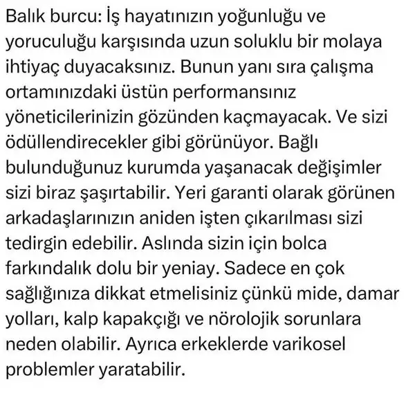 as0 (13).webp
