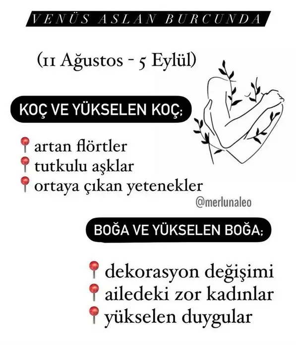 as0 (3).webp