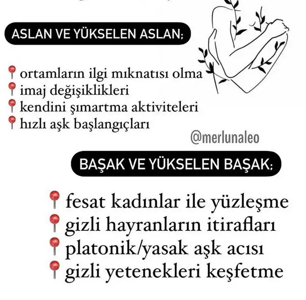 as0 (5).webp