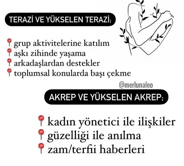as0 (6).webp