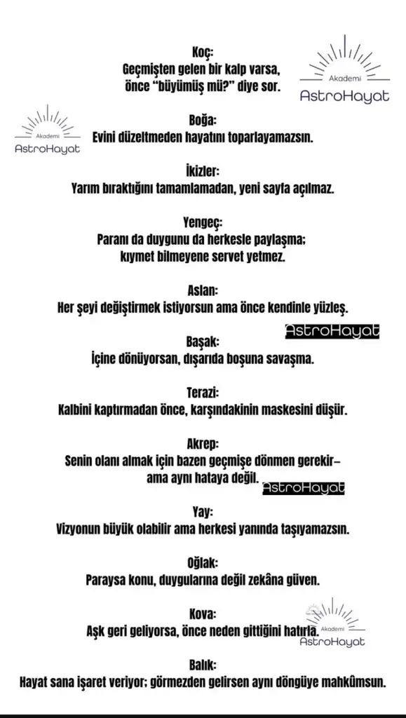 as1 (2).webp