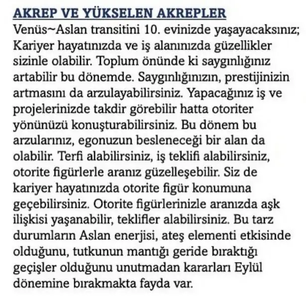 as1 (23).jpg