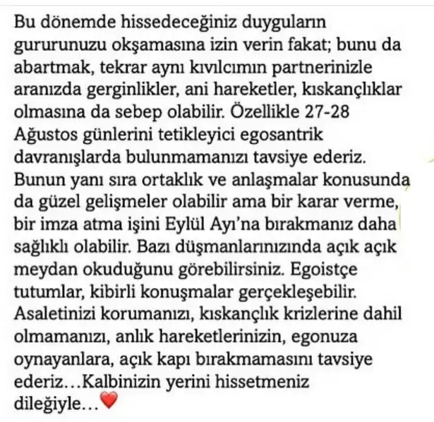 as1 (33).webp